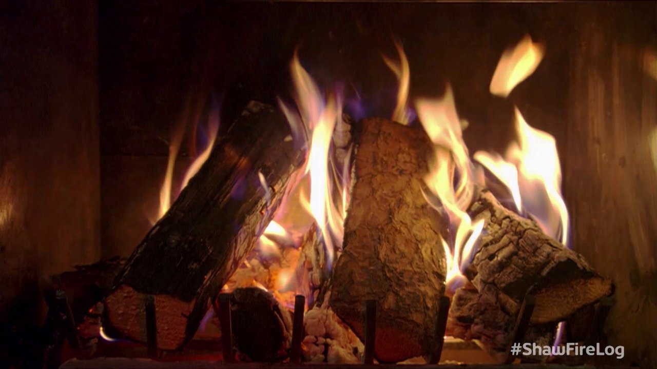 Shaw Fire Log Shaw Fire Log